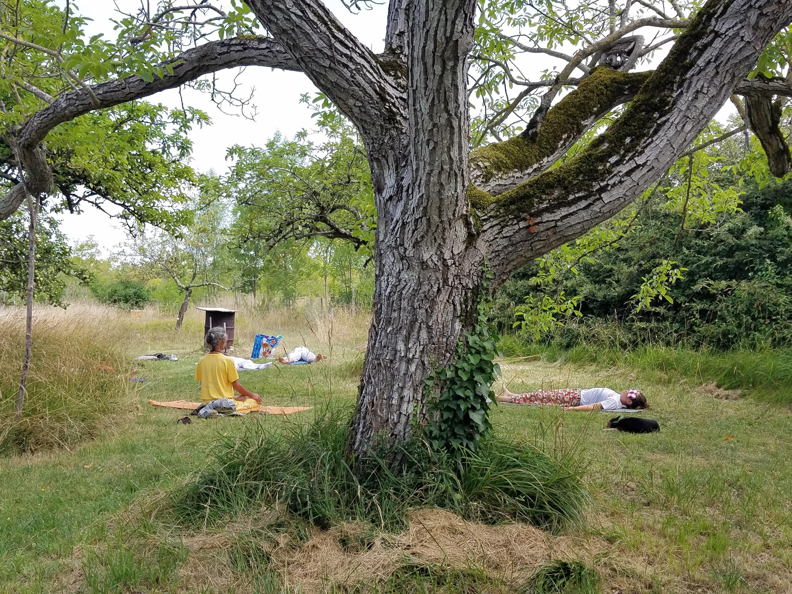 Association True Self