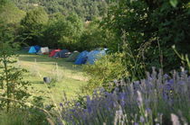 Camping à la ferme la Palud sur Verdon