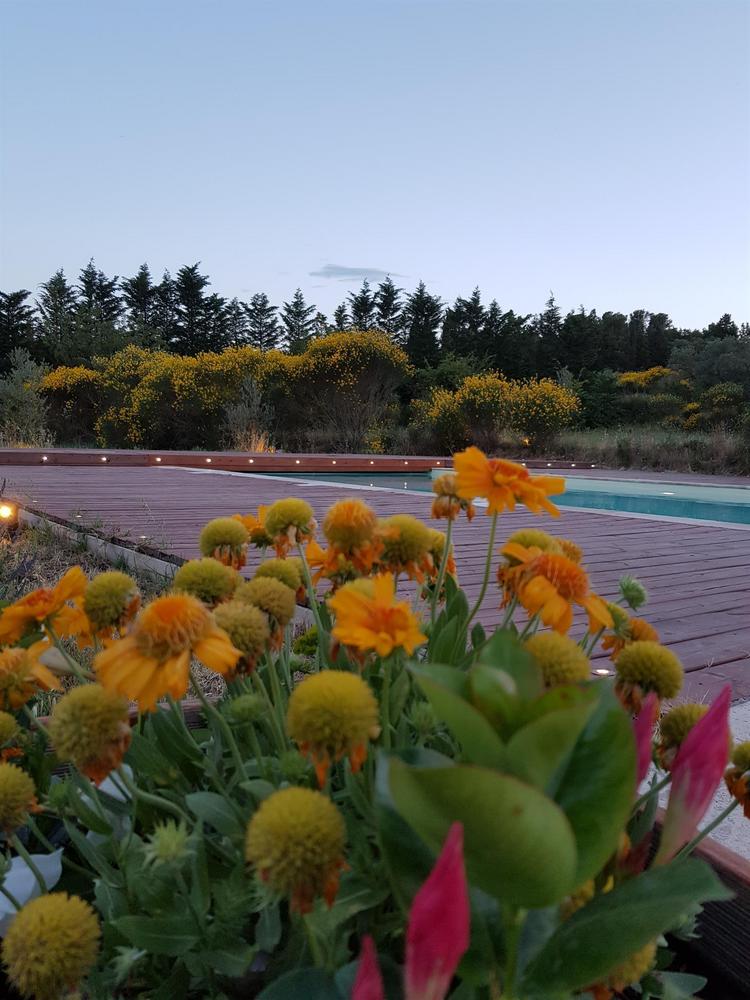 La Coccinelle d'Emilie, Noves - photo 57