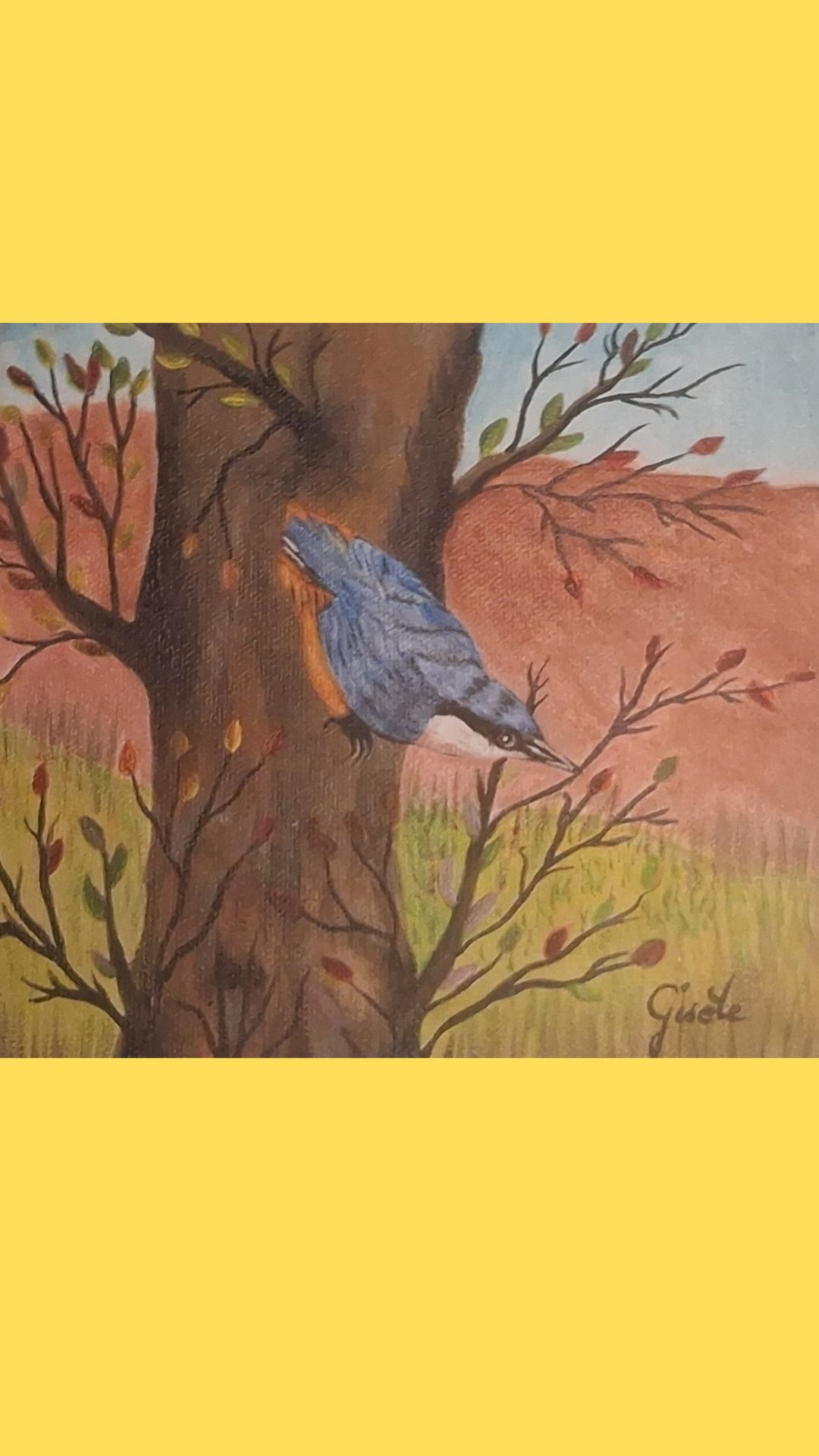Exposition "biodiversité"