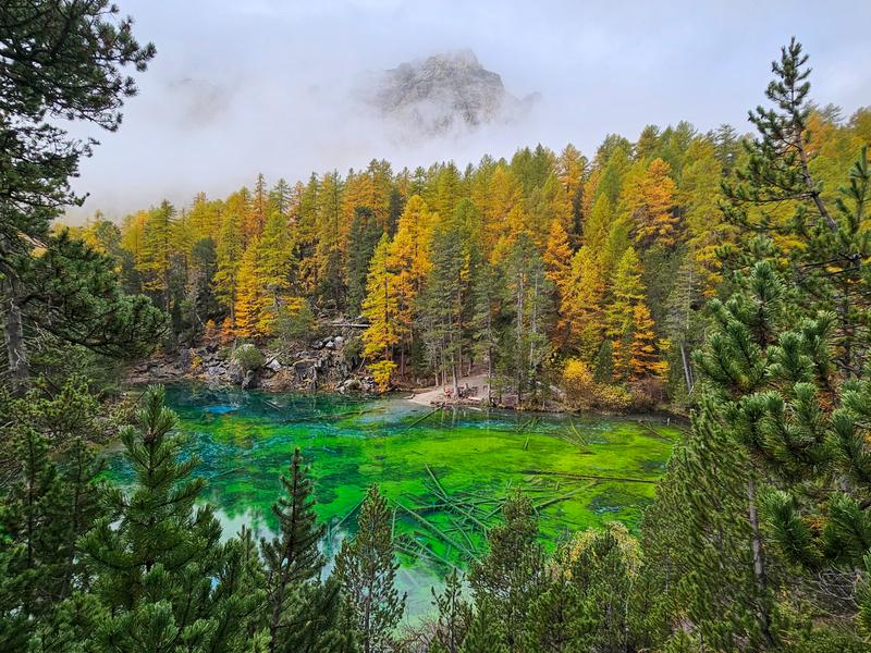 Vallée Étroite_Névache