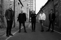 Chameleons_Grenoble