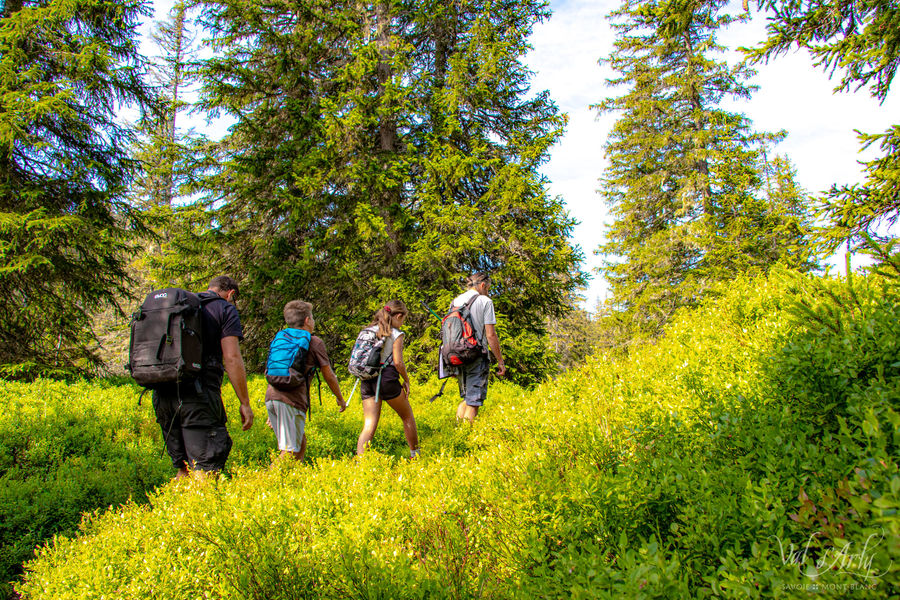 Sentier des Arpelières