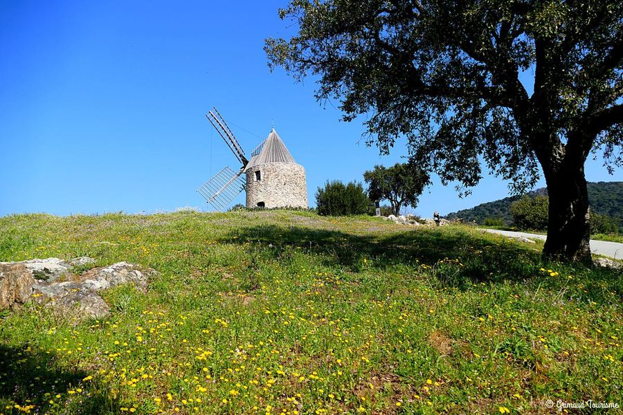 Le Moulin Saint Roch de grimaud