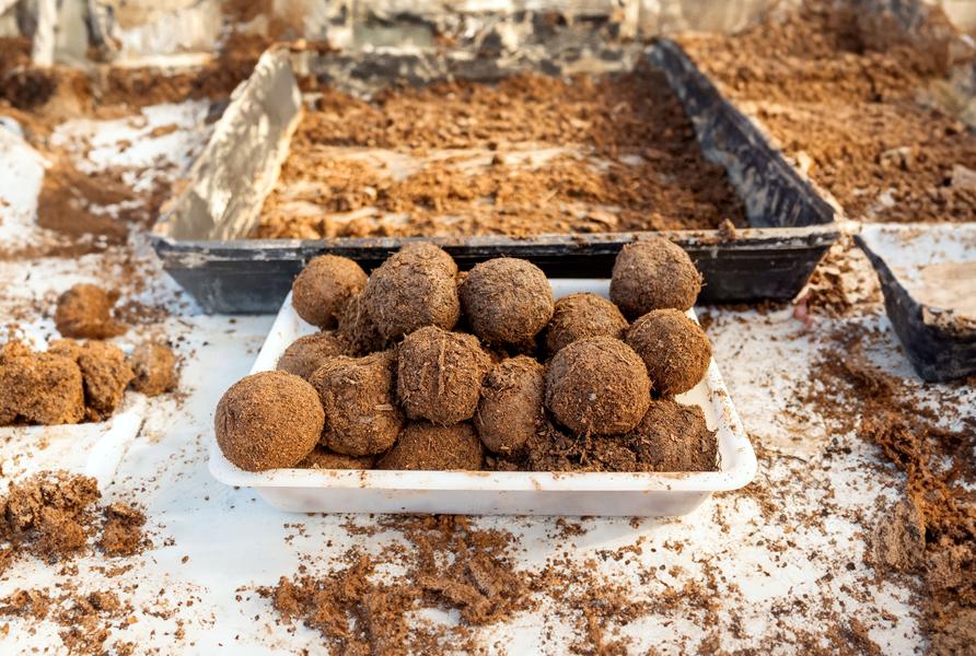 Mini Compost et atelier 