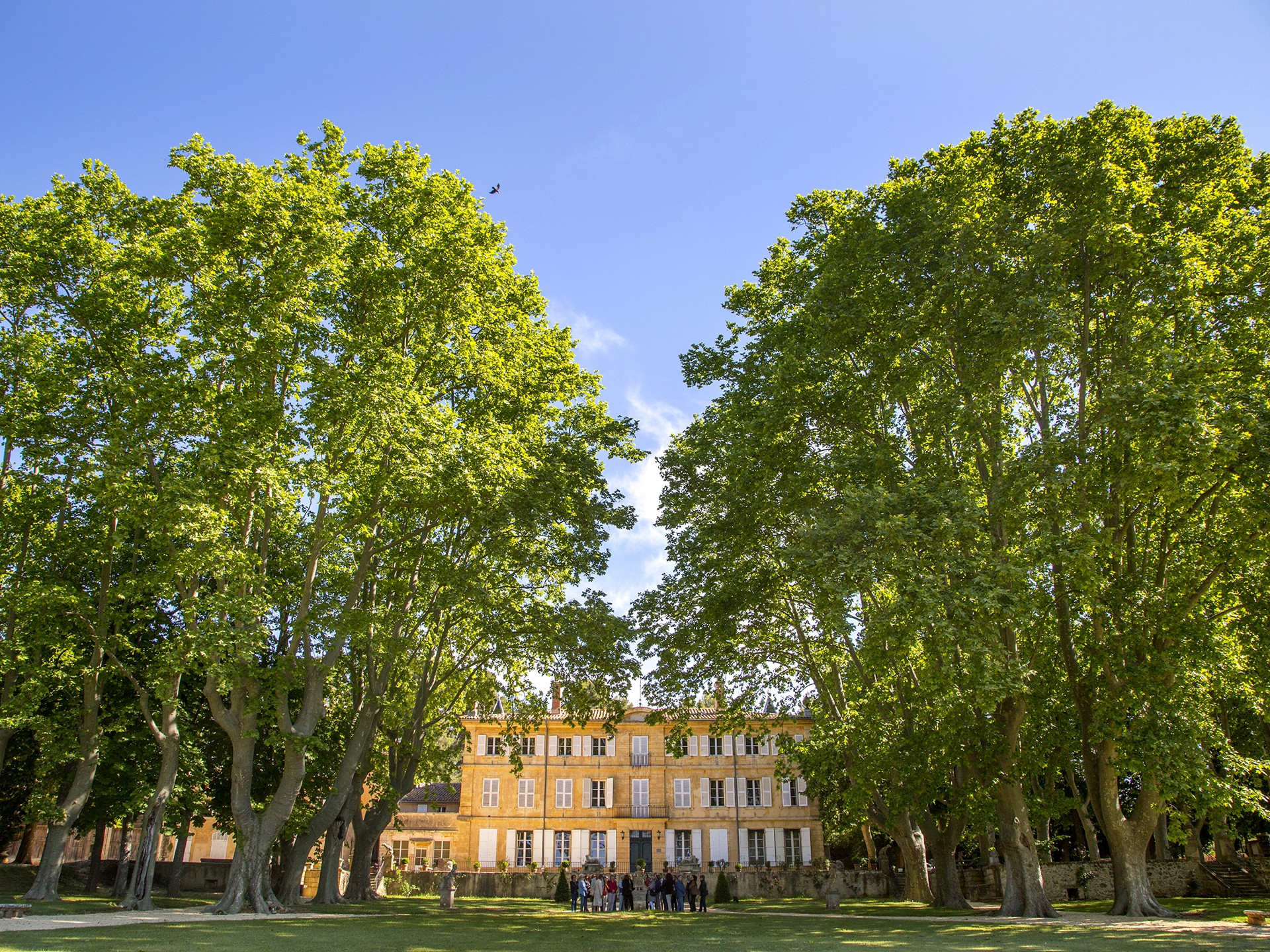 Château de la Mignarde, Aix-en-Provence - photo 5