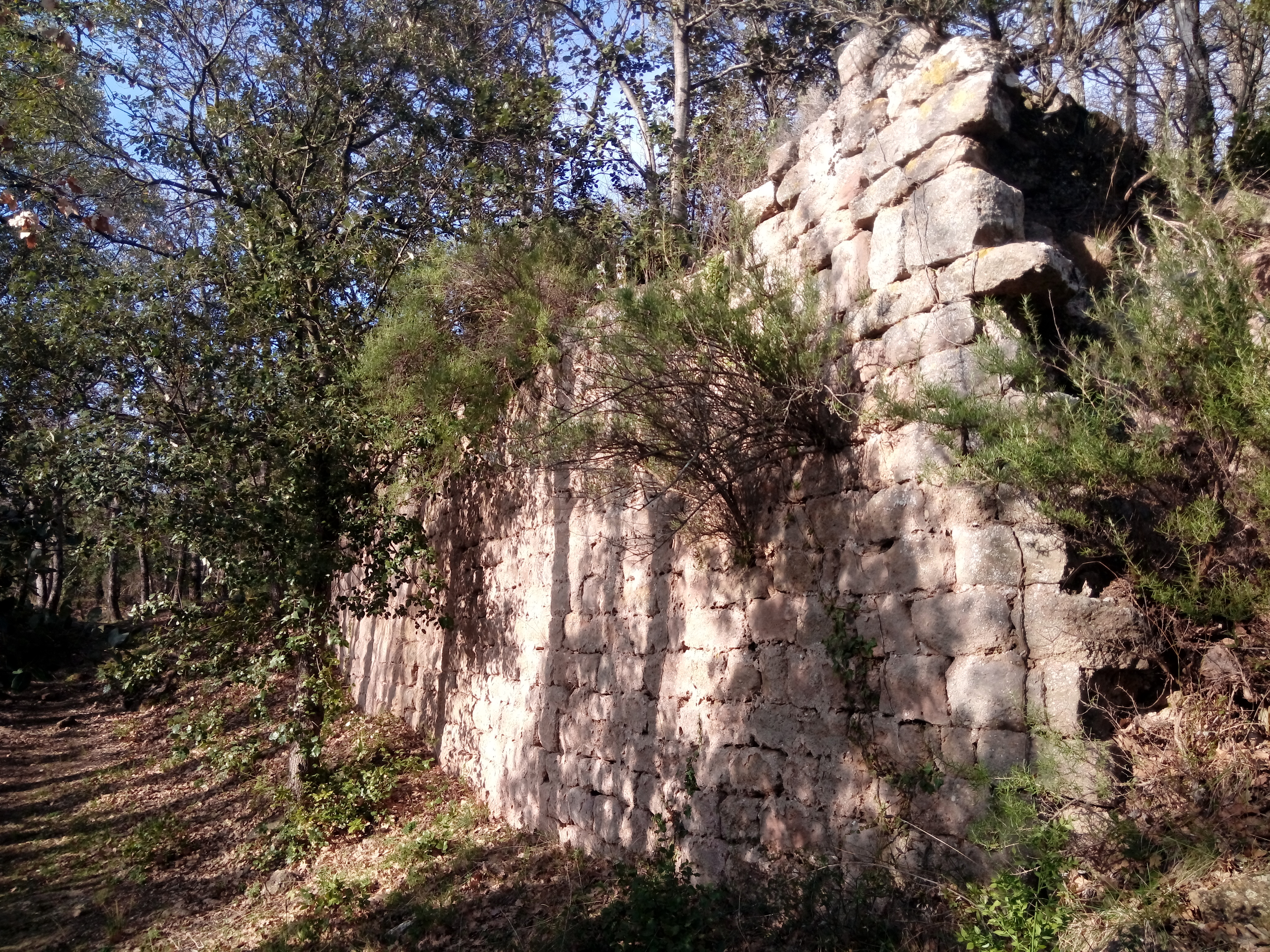 Randonnée "Le Castrum Saint-Michel", Trets - photo 14