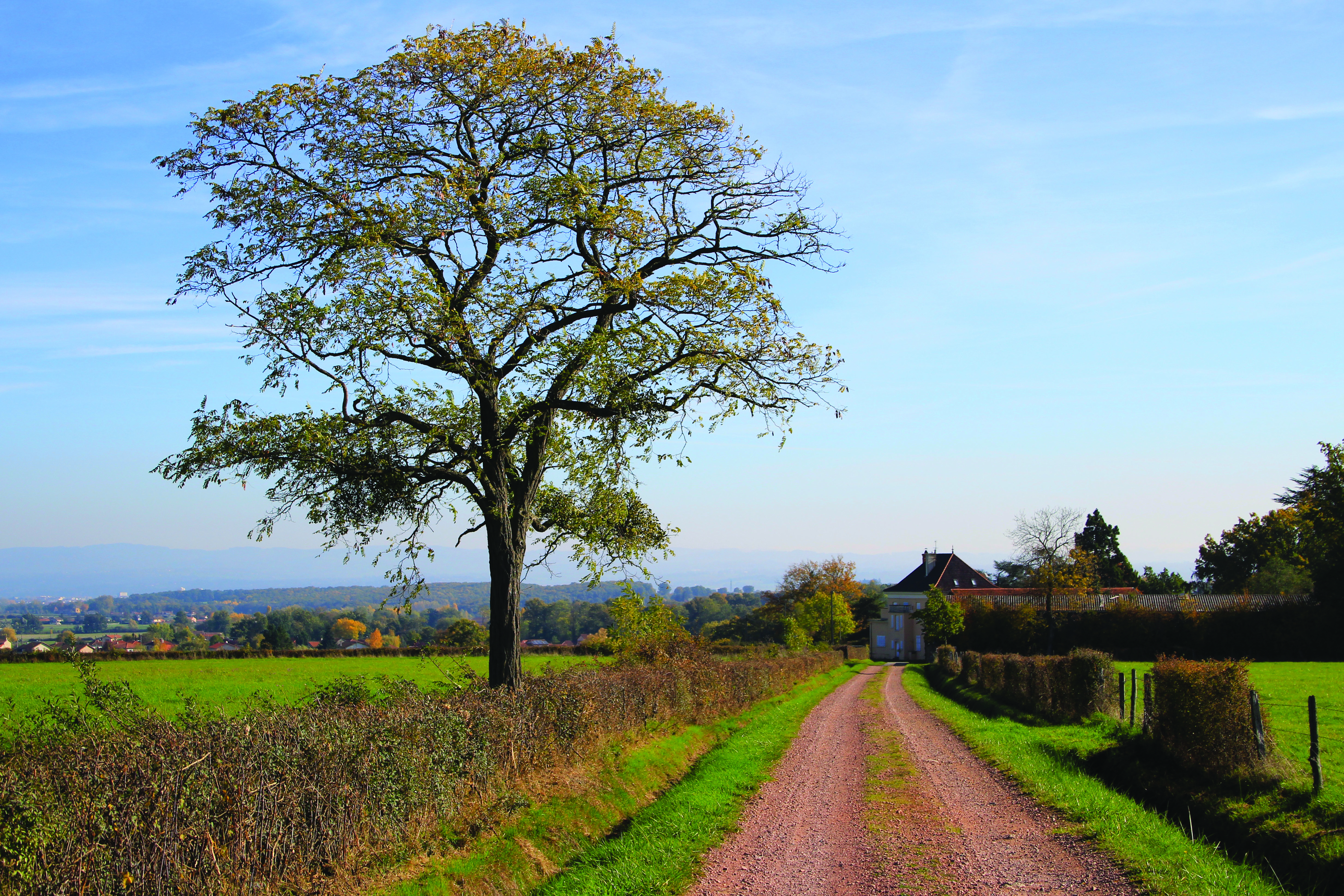 Campagne