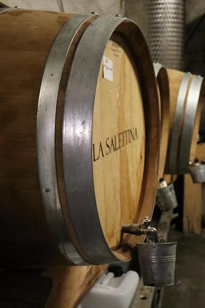 Fût Salettina