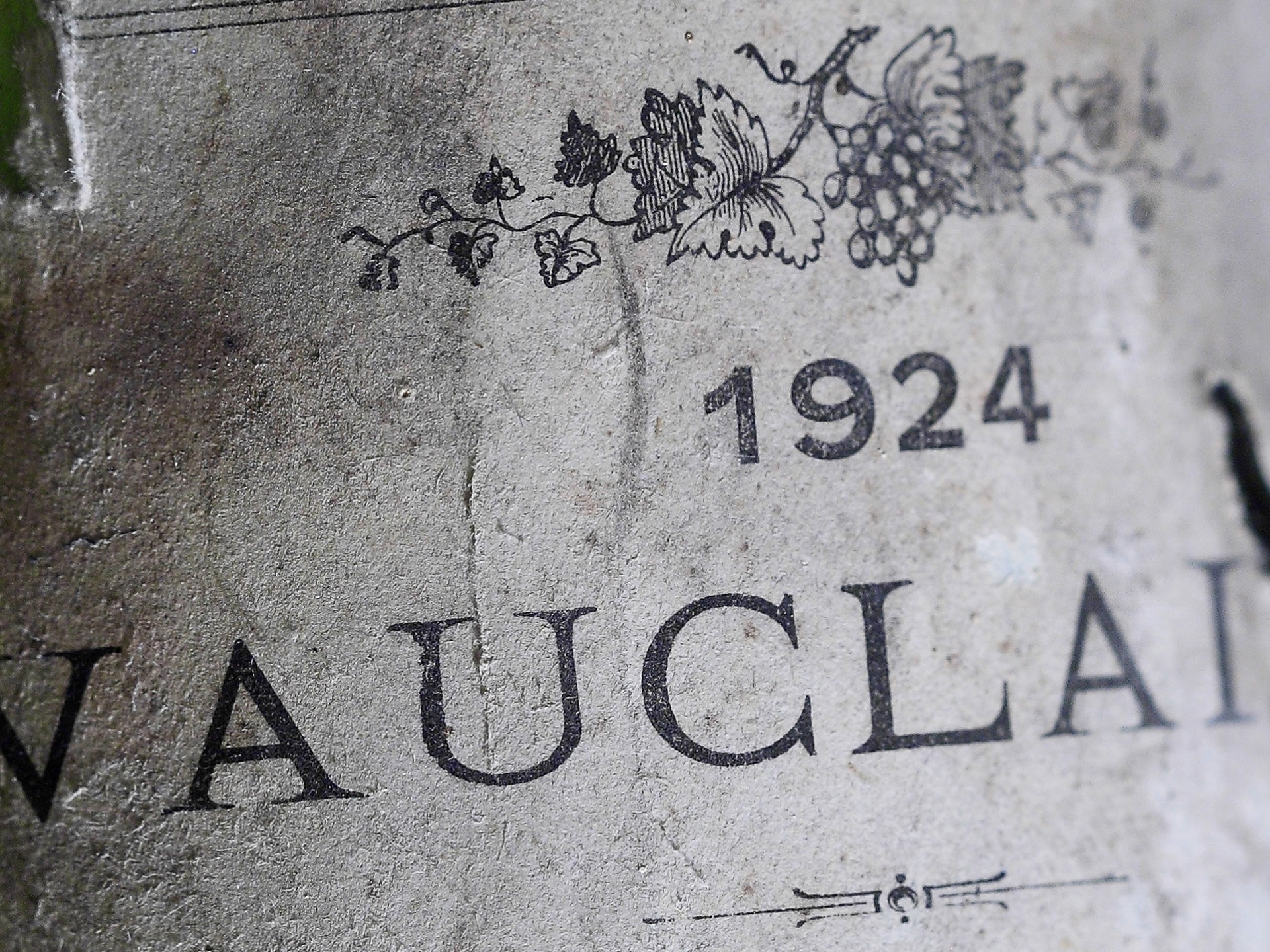 Château de Vauclaire, Meyrargues - photo 5