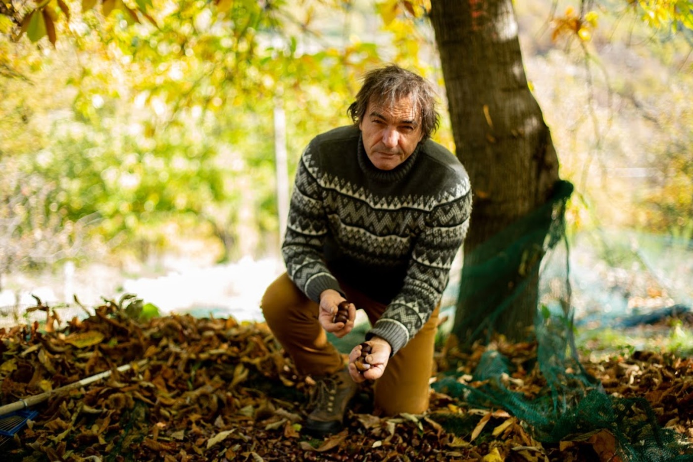 Le Bois de Belle producteur, transformateur, formateur et conférencier