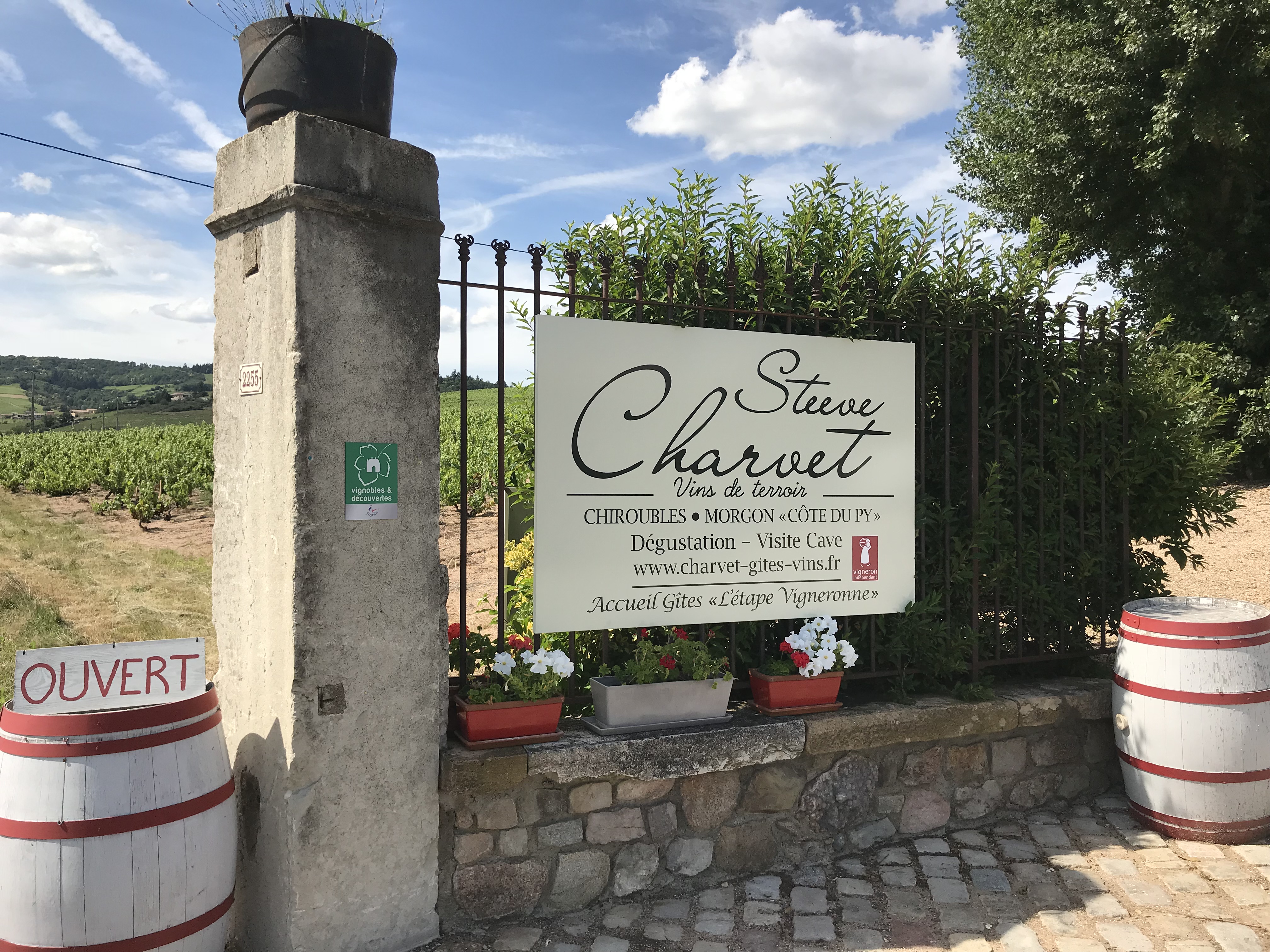 Domaine Steeve CHARVET à CHIROUBLES