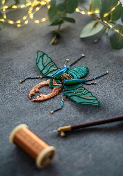 Celicyous_Saint-Pierre-du-Perray