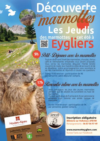 Petit-déjeuner avec les marmottes