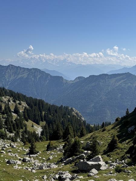Randonnée pédestre : La Petite Sambuy via la piste forestière_Faverges-Seythenex