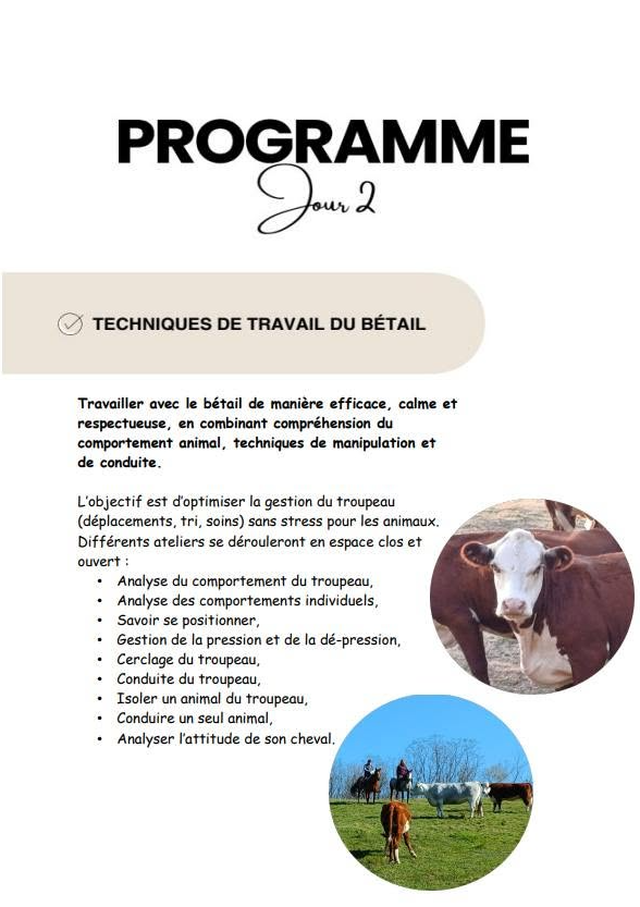 Stage découverte - Dressage cheval de ranch_Bézac