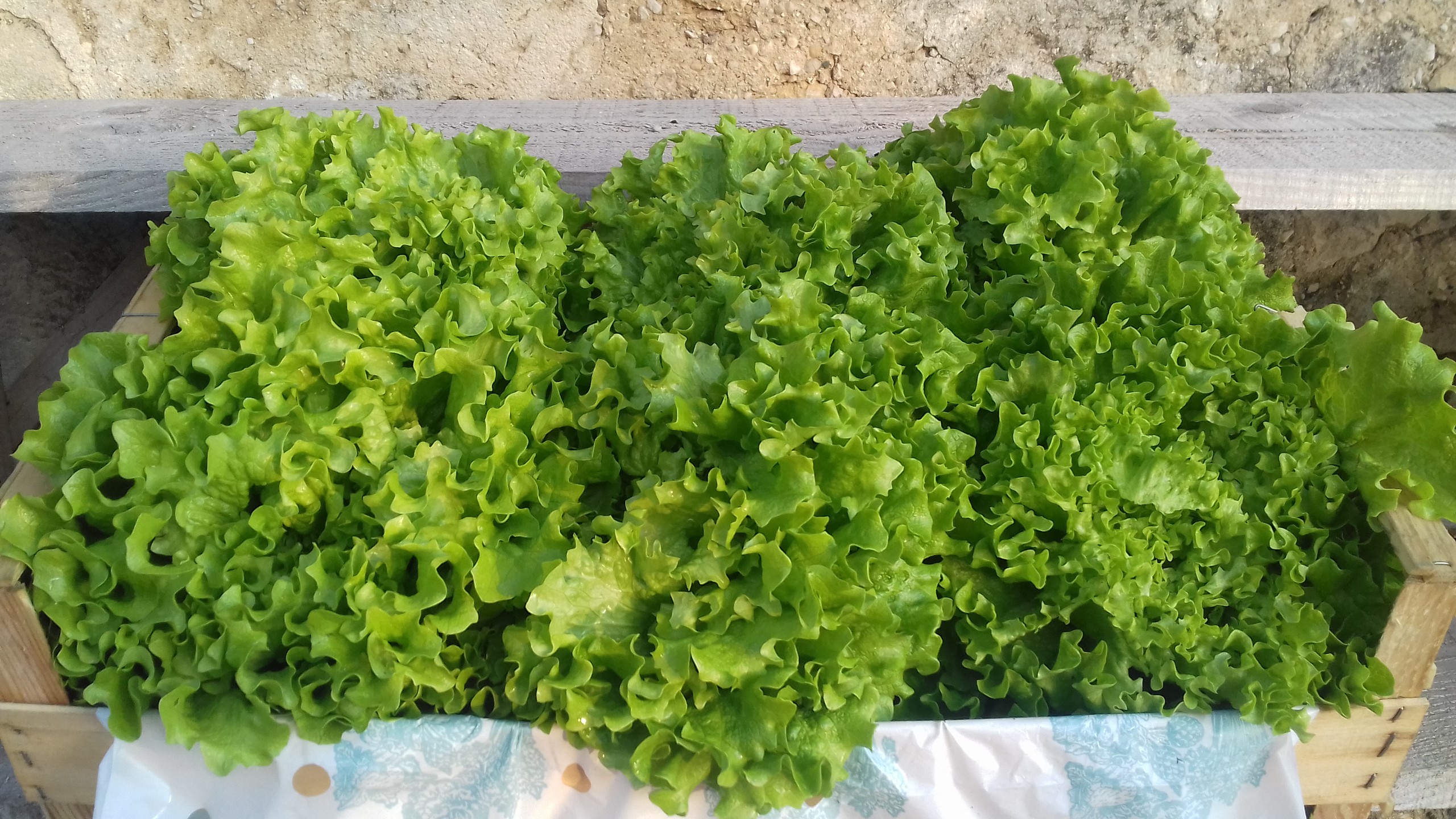 Le Mas des Agriculteurs - COPPAS — photo 2
