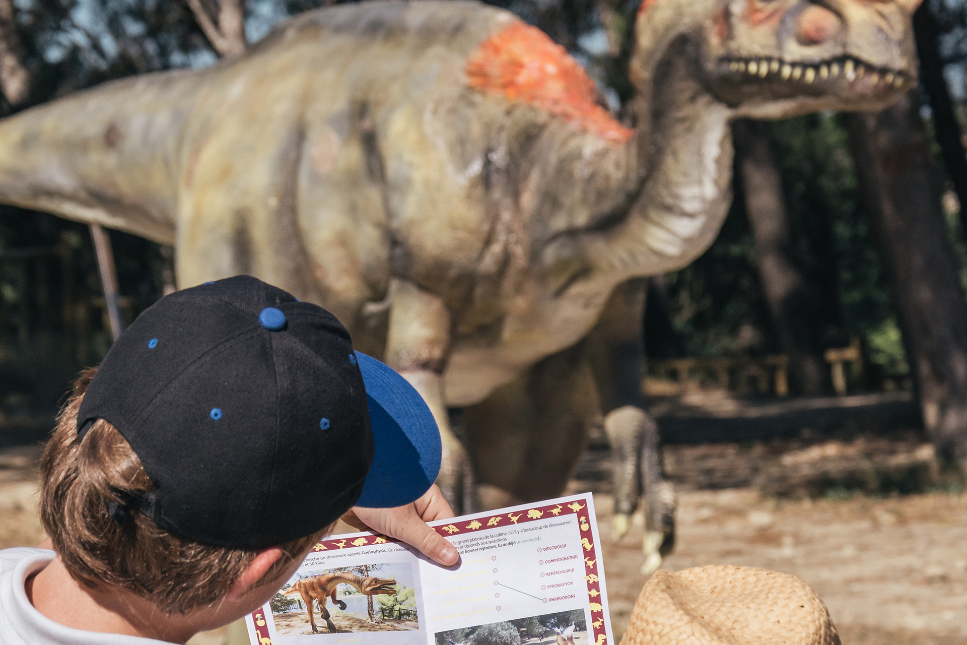 Circuits 1, 2, 3 jouez ! - Au petit paléontologue