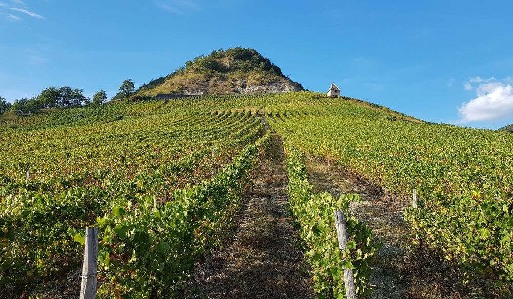 Maison Bonnard à Seillonnaz