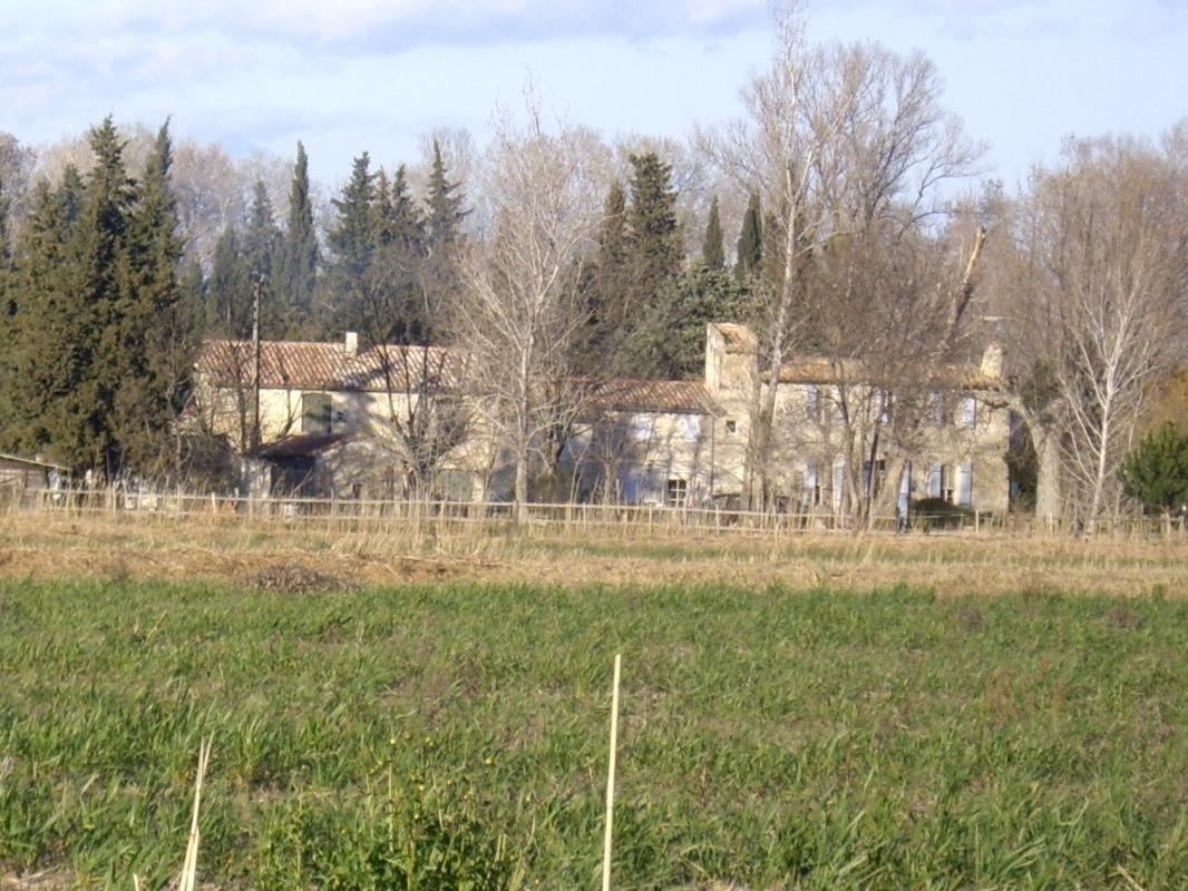 La Treille, Arles - photo 41