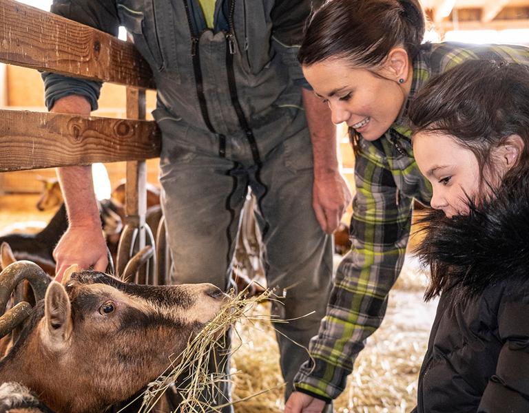 Chèvrerie de Vesonne