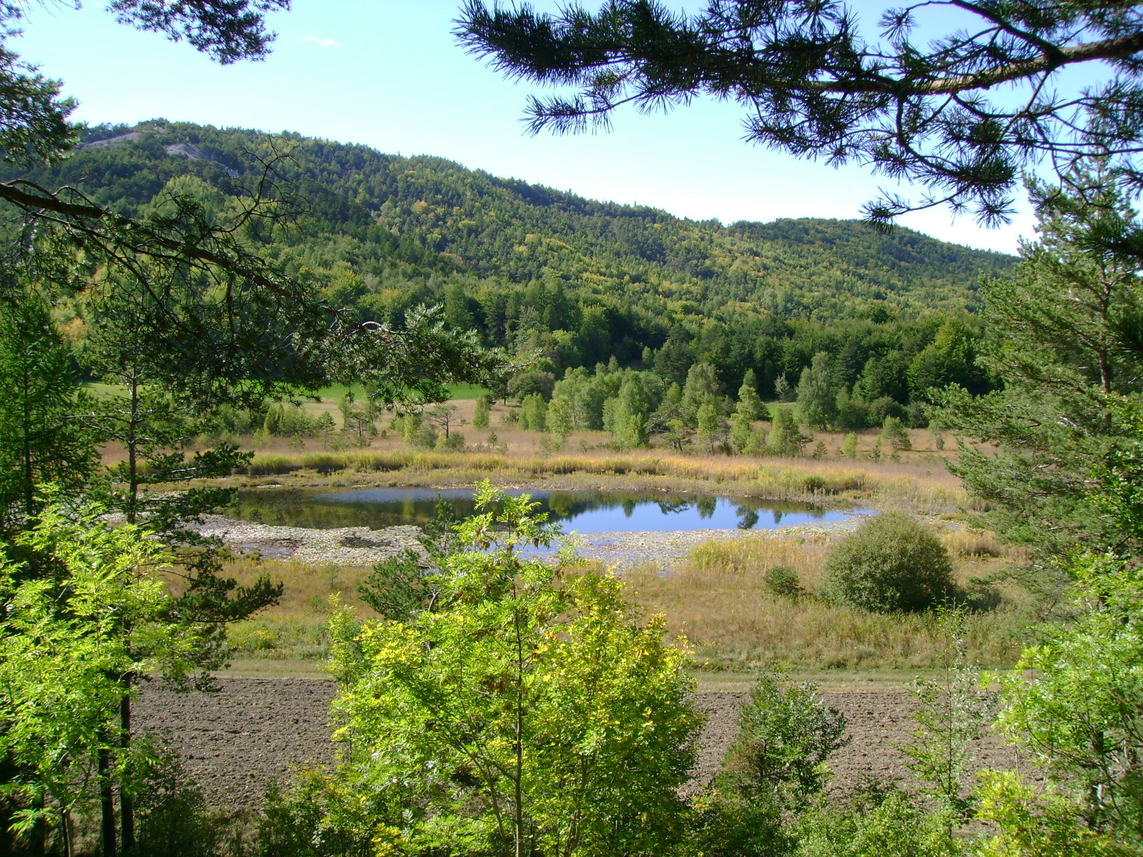Tourbière_St-Léger_Montclar