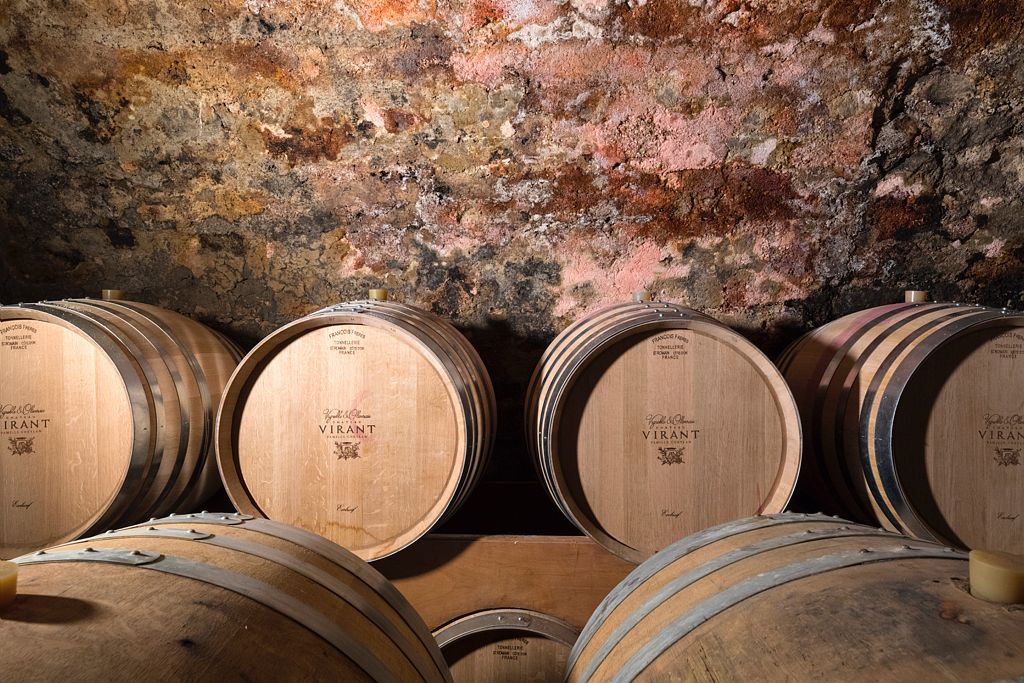 Château Virant - photo 5