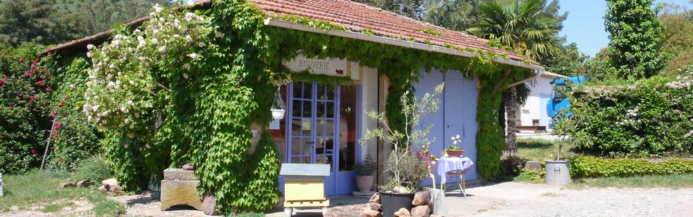 Rucher de la Bouverie_Roquebrune-sur-Argens