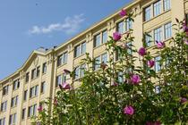 Le Cours Fauriel et son palais industriel