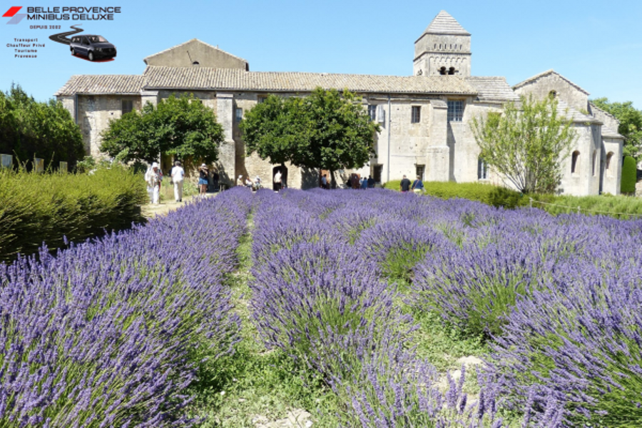 La Provence et Van Gogh