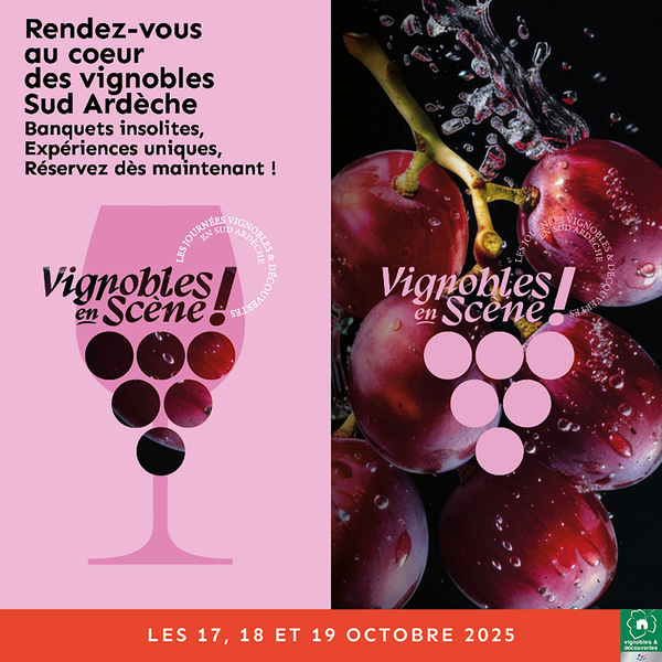 Vignobles en Scène : Musique et Vignes - Concert Lady Soul Project_Alba-la-Romaine