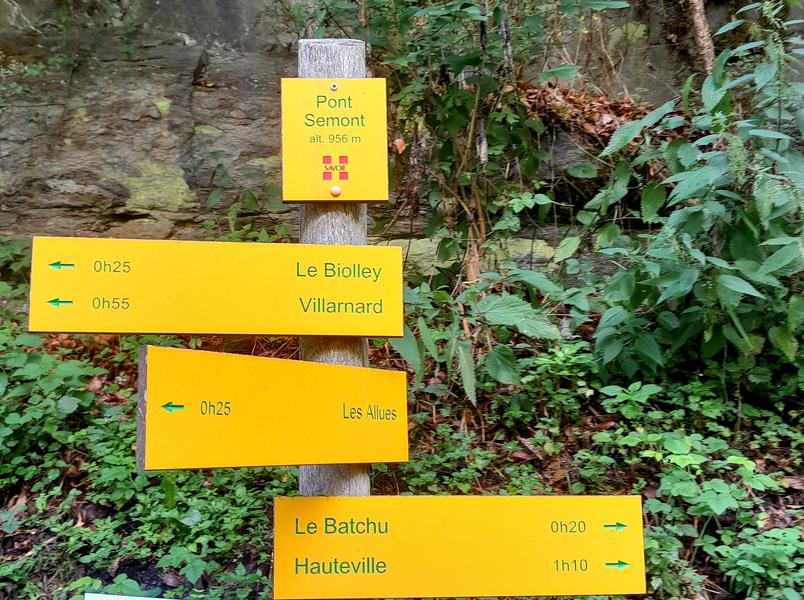 V2 - Chemin des Moulins - Départ Les Allues_Méribel