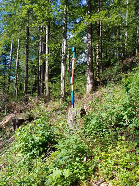 Sentier Arts et Nature