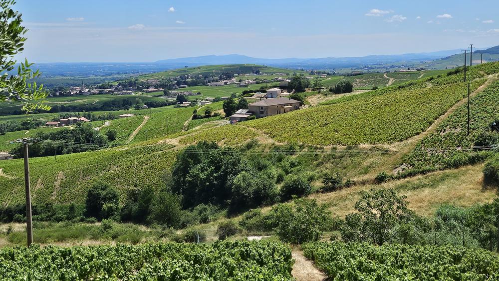 Vue paranomique chambre d'hotes beaujolais