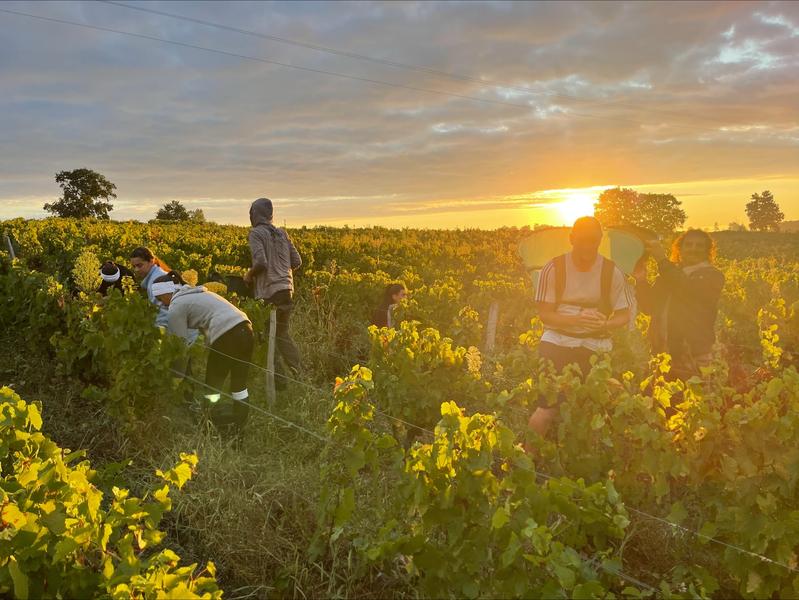 Château Gaillard_Villié-Morgon