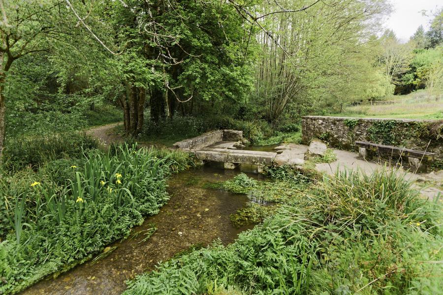 Lavoir de Chaumet-les-Violettes