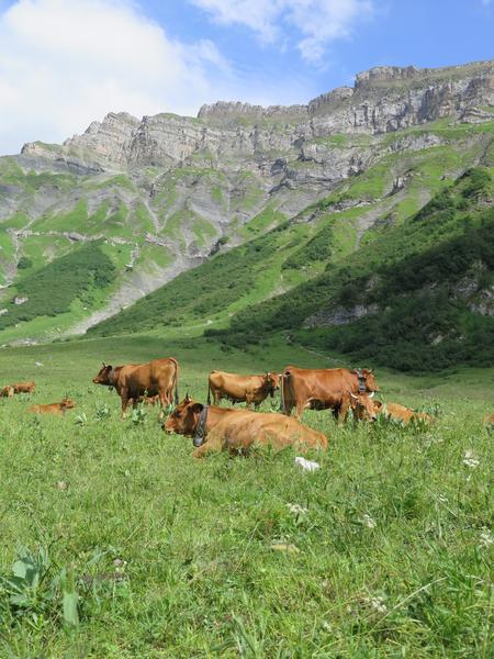 alpage de la Giettaz