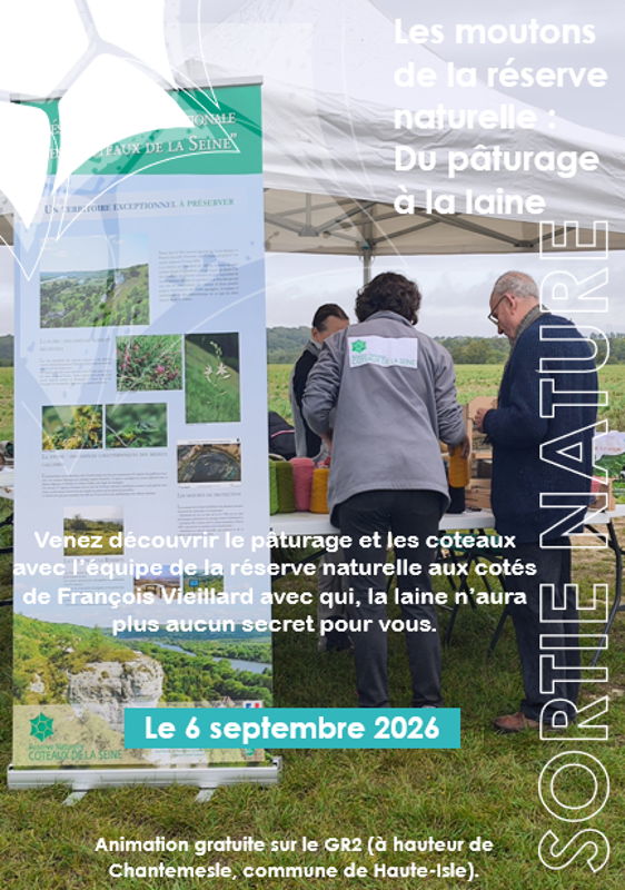 Média additionnel 1