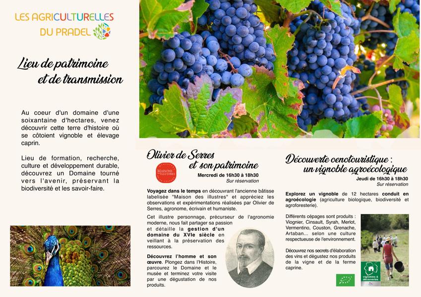 Visites estivales du Pradel à Mirabel