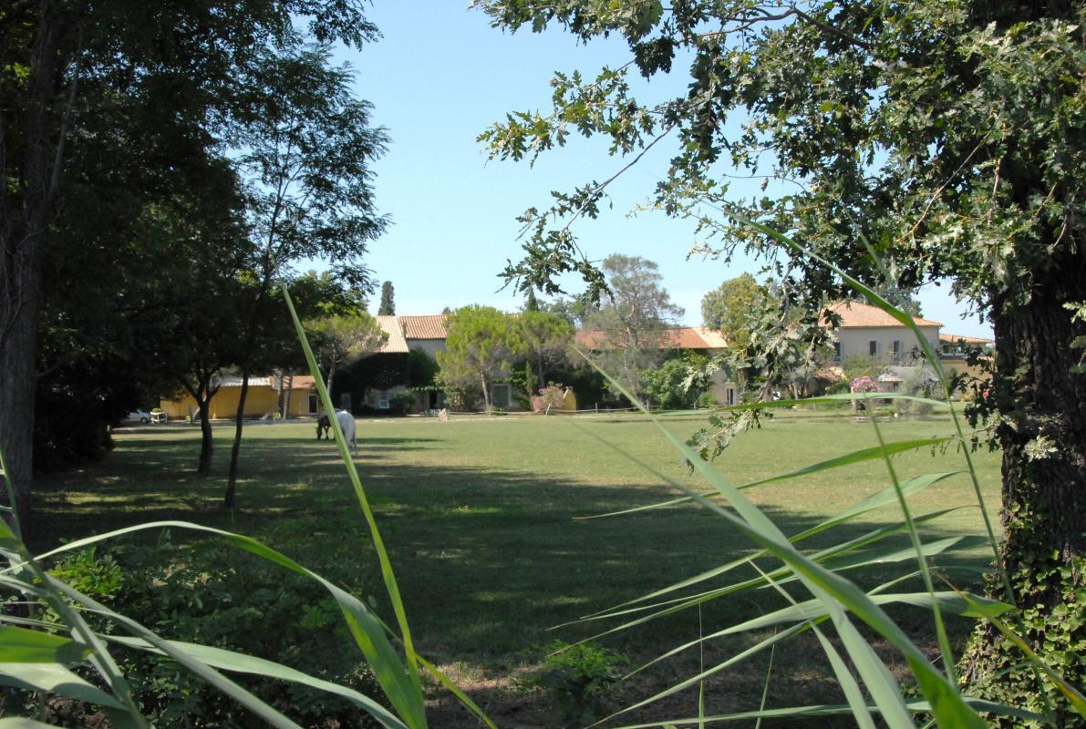 Le Jardin, Arles - photo 21