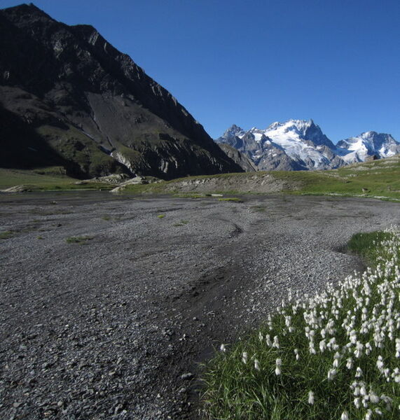 Natura 2000 - Haute Romanche - La Grave