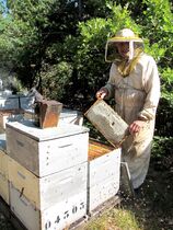 Les apiculteurs 3