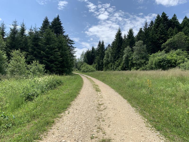 Chemin en gravillons Chemin en gravillons