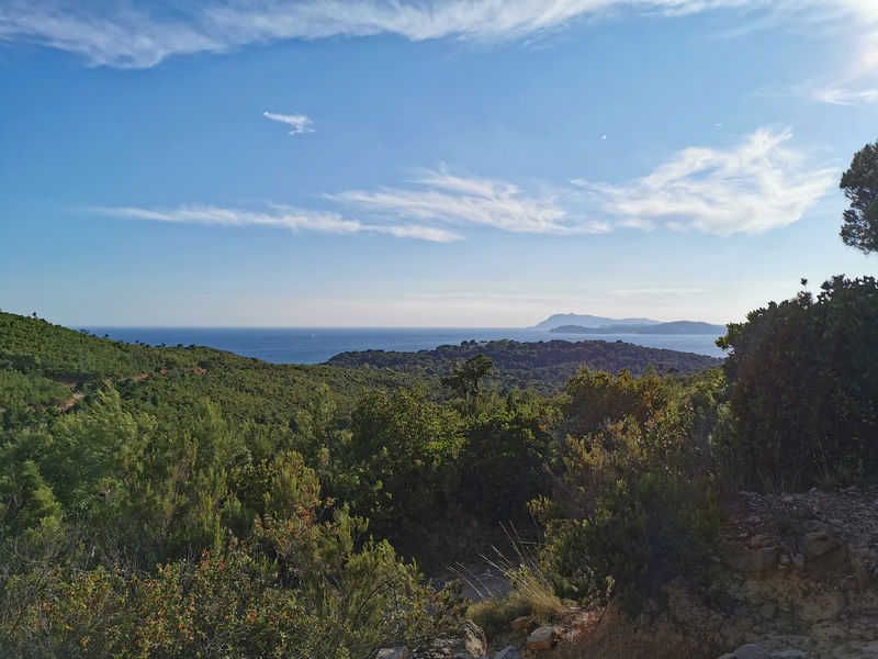Massif de la Colle Noire