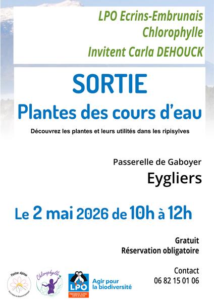 Sortie Plantes des cours d'eau