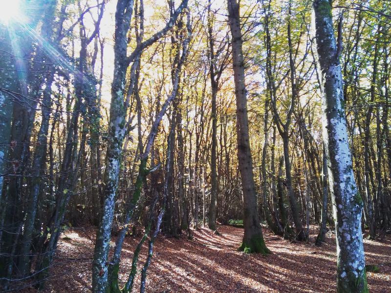 Balades des Roches Mystérieuses