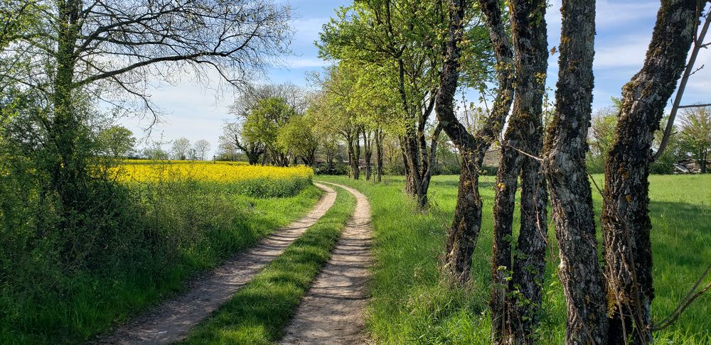Sentier de l'écureuil à Leyment