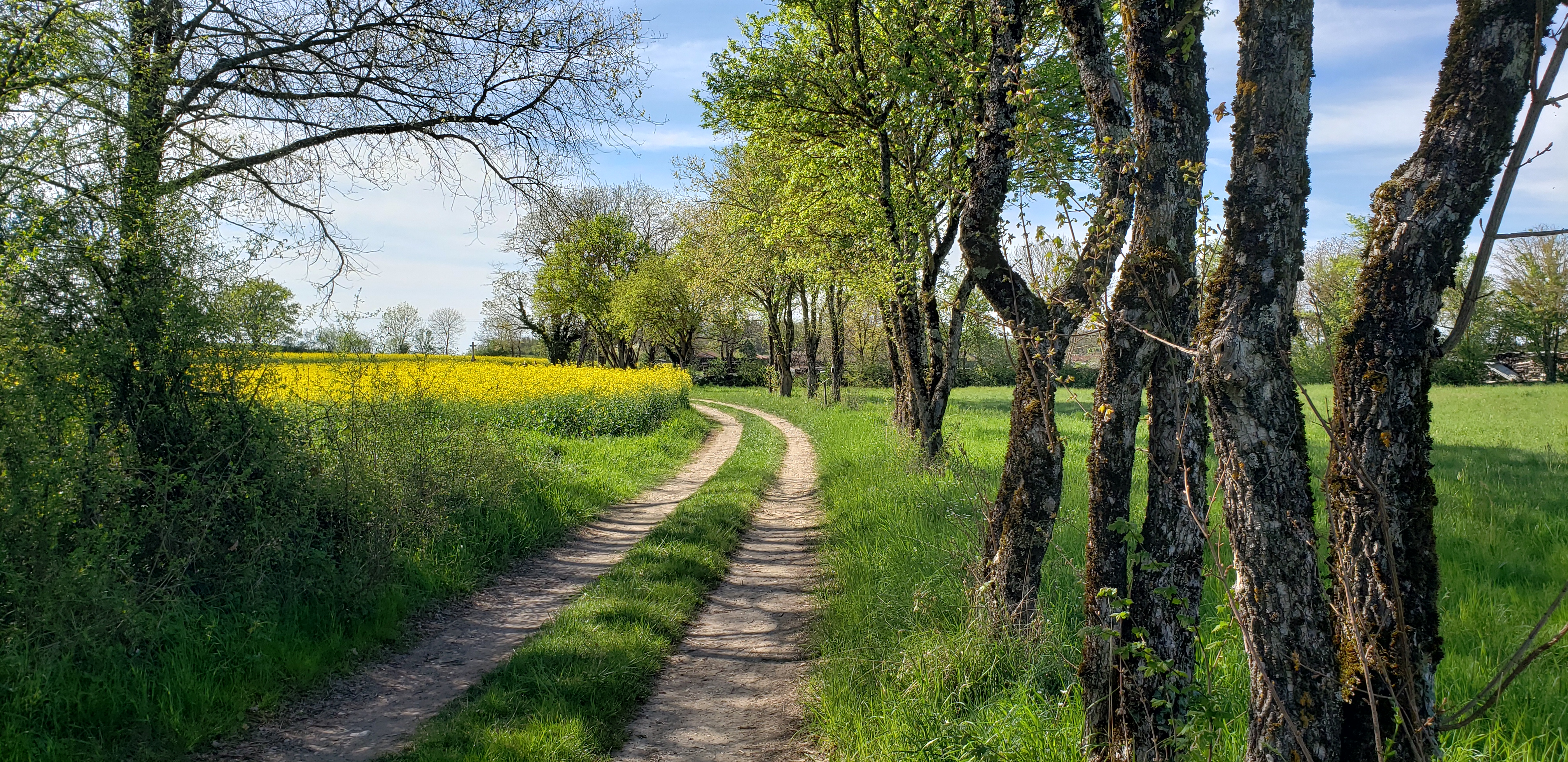 Sentier de l'écureuil au printemps_Sabrina Megani (19)