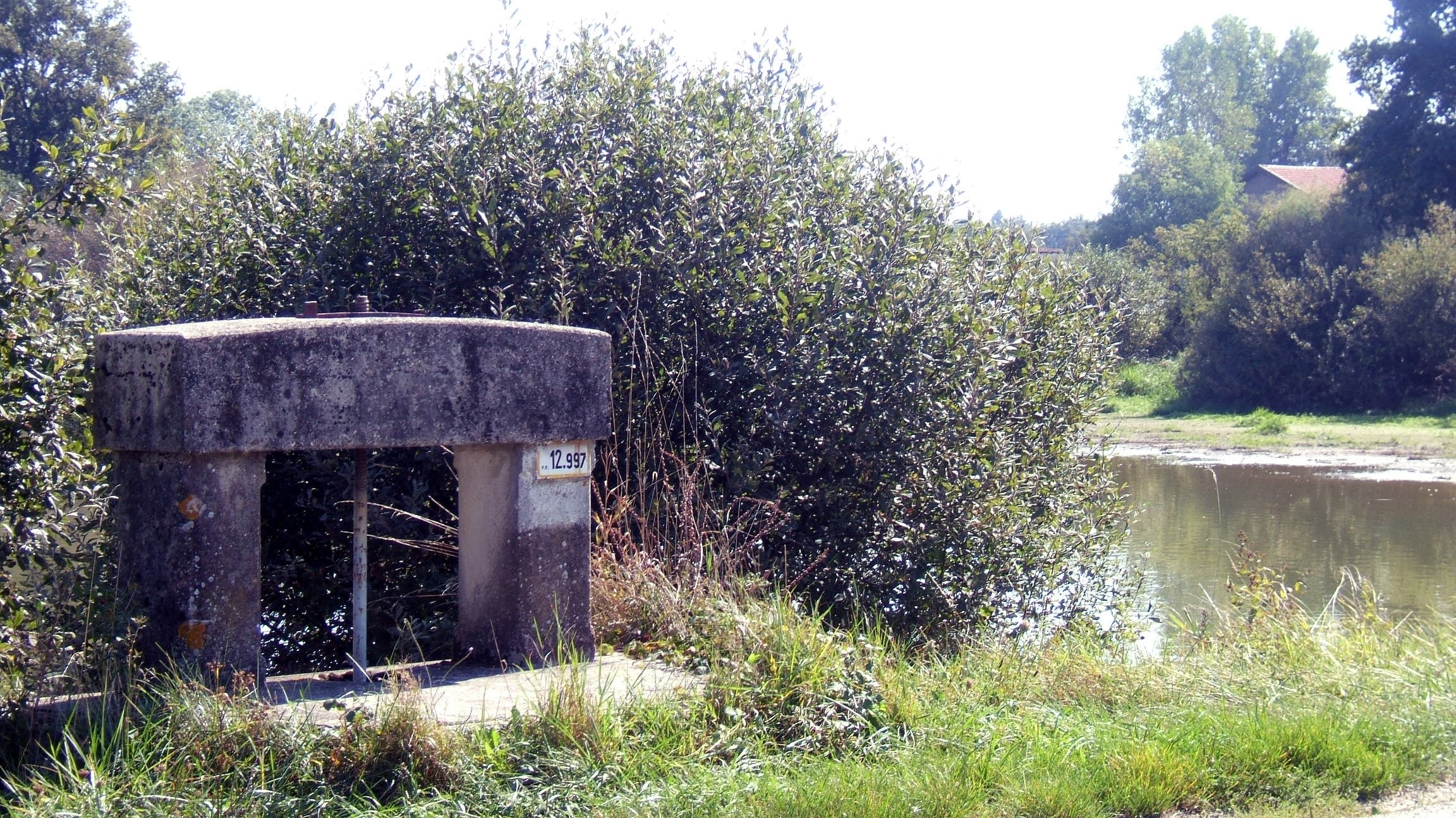 Balade européenne en Dombes, une nature à préserver_Lent