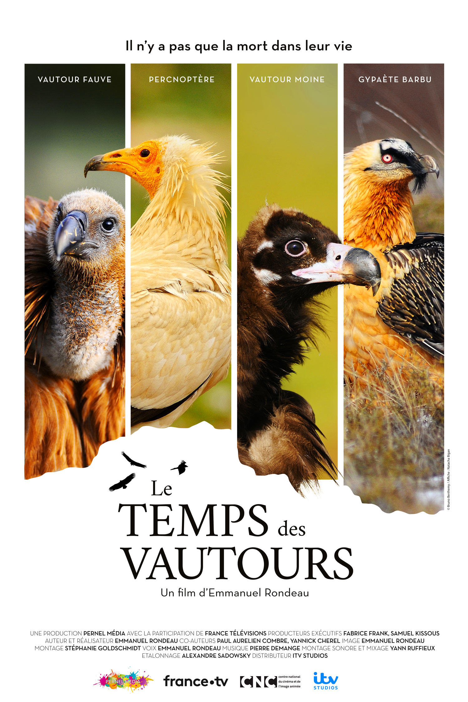 Affiche du film le Temps des Vautours